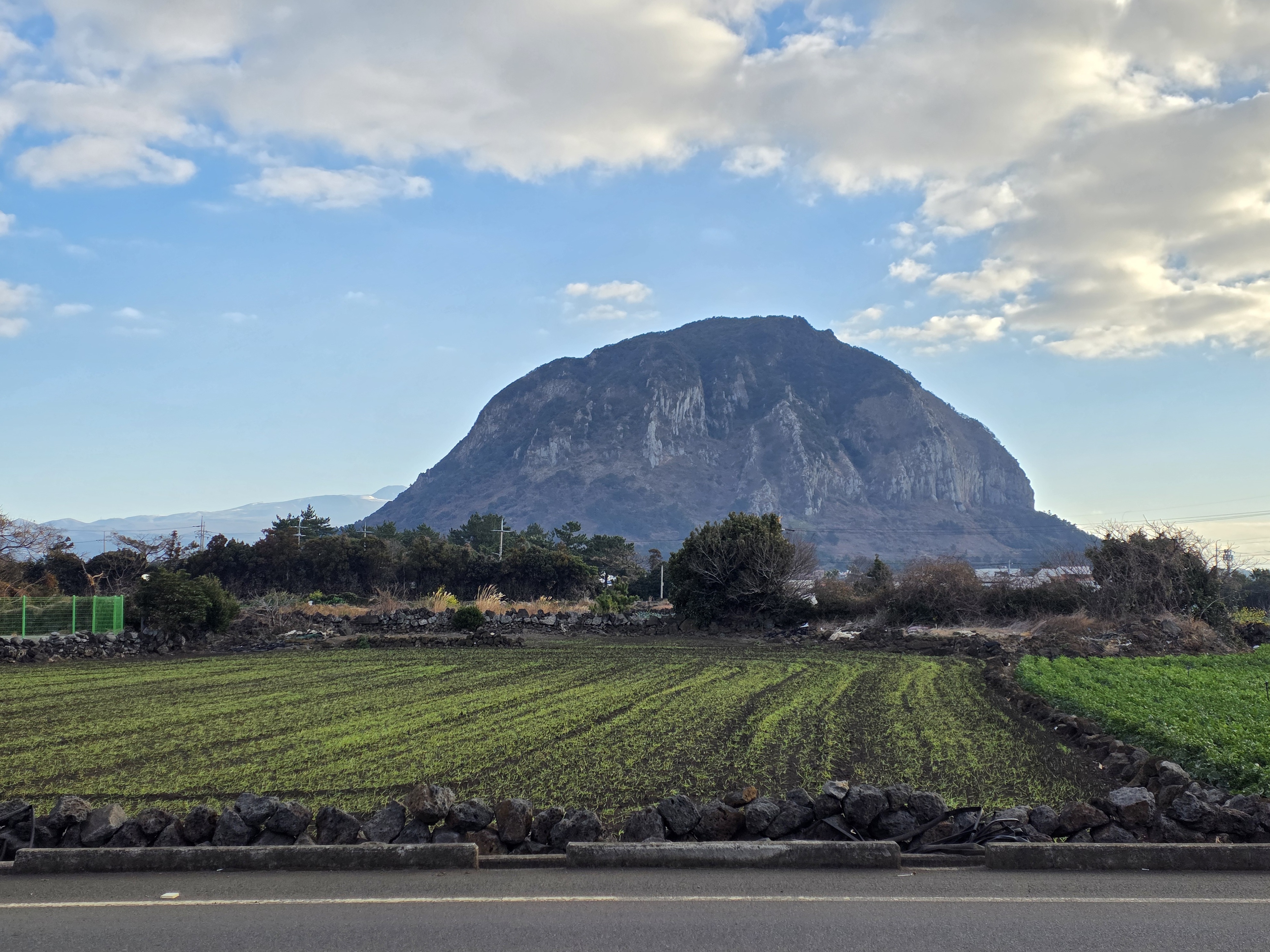 바이브 사계 1기